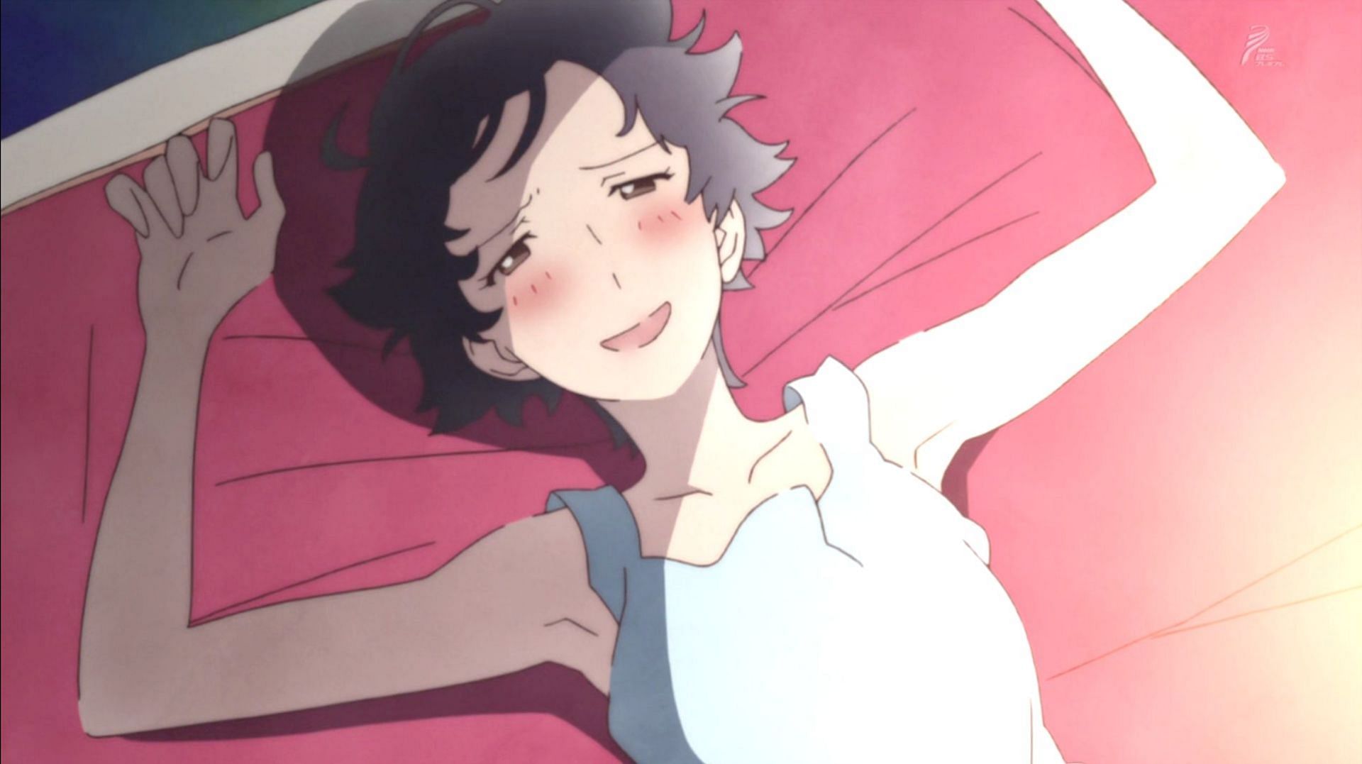 Otona Joshi no Anime Time (Image via Studio Bones, Telecom Animation Film, Production I.G)